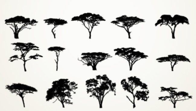 africa brushes photoshop free download